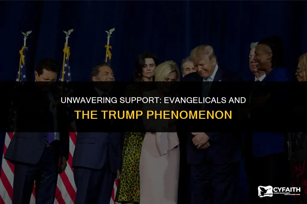why do evangelicals stand by trump