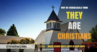 Exploring the Evangelical Identity: A Christian Perspective
