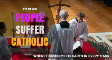 Why Do Good People Suffer? A Catholic Perspective on Pain