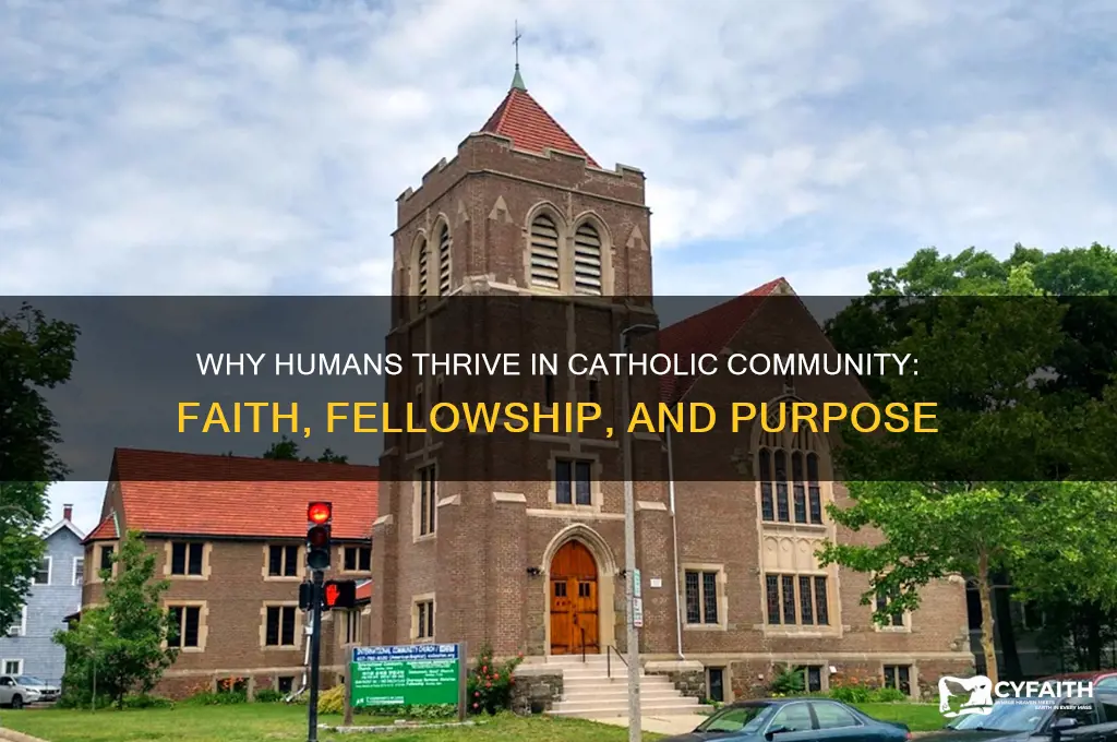 why do humans need community catholic