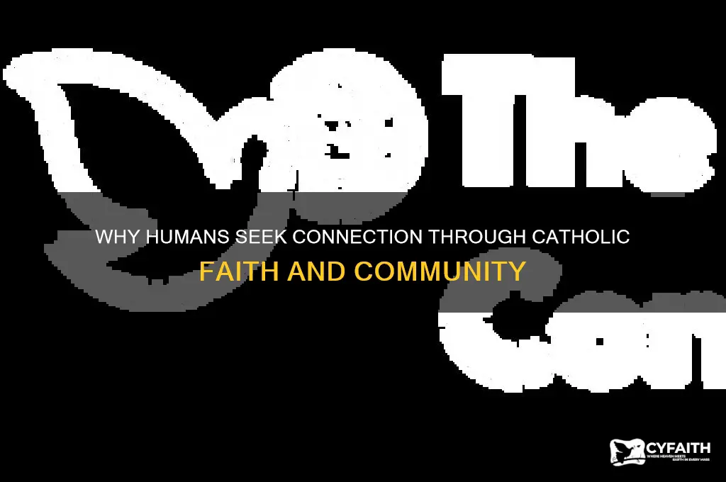 why do humans need to connect catholic