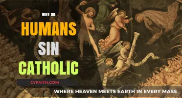 Understanding Human Sinfulness: A Catholic Perspective on Moral Failures