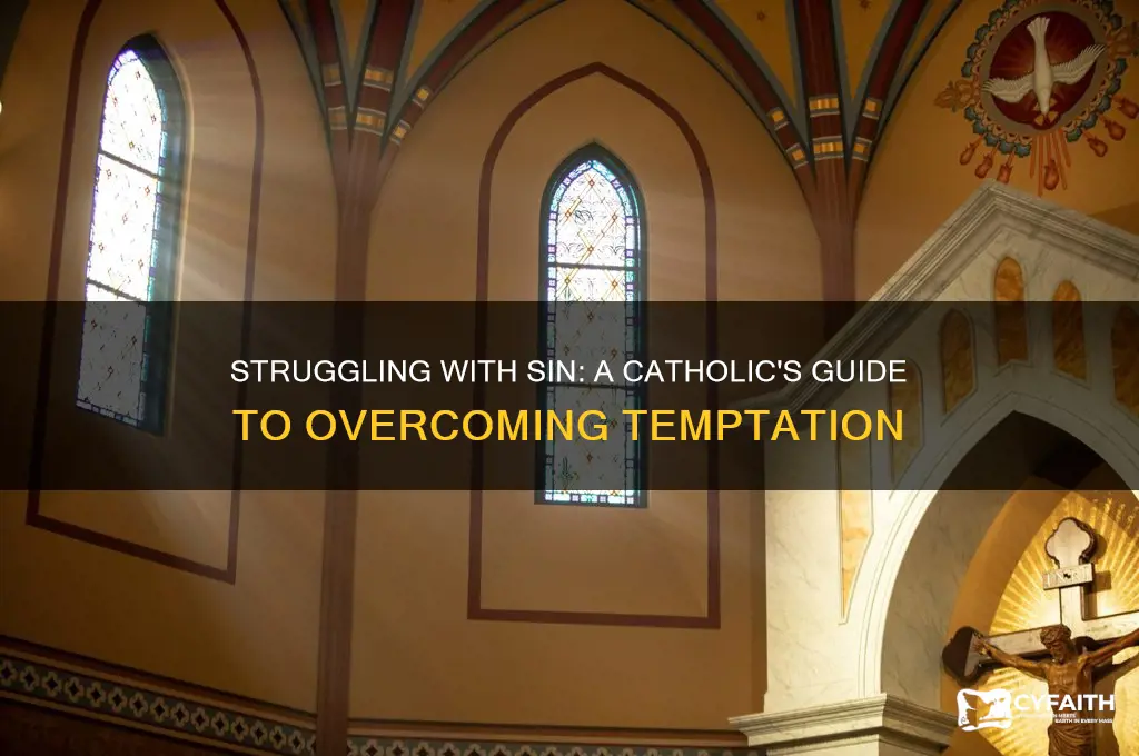 why do i keep sinning catholic