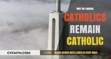 Why Liberal Catholics Stay: Faith, Tradition, and Progressive Values