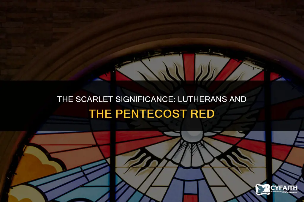 why do lutheran