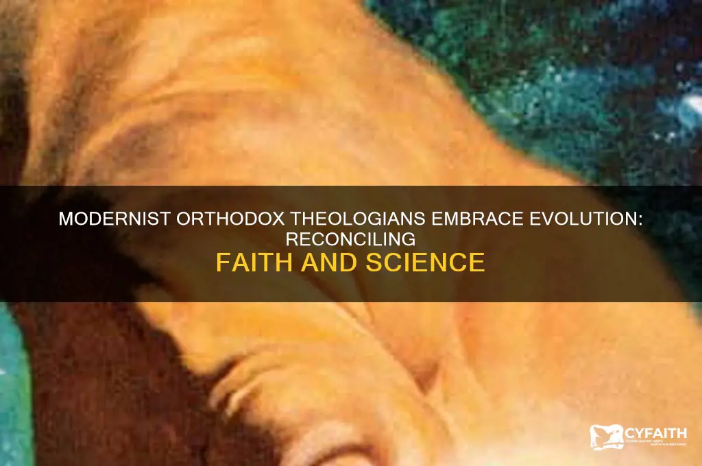 why do modernist orthodox theologians believe in evolution
