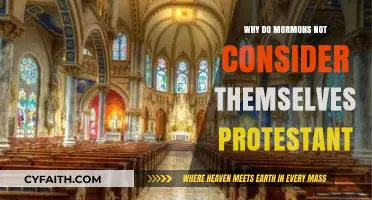 Understanding Mormon Beliefs: Beyond the Protestant Label