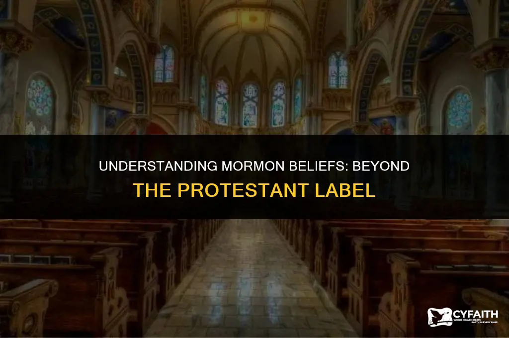 why do mormons not consider themselves protestant