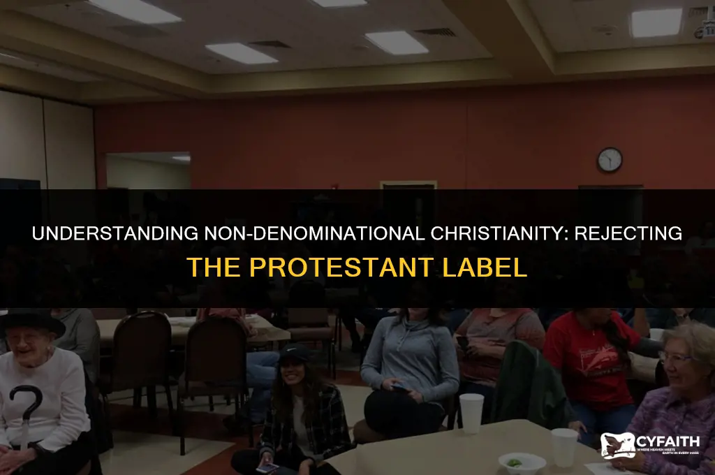 why do non-denominational christians reject the protestant label