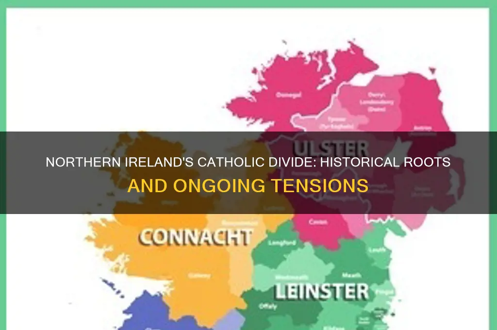 why do northern ireland hate catholics