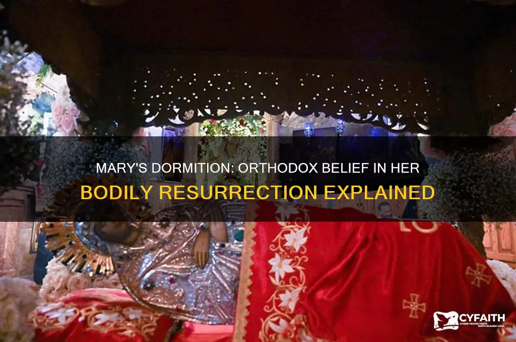 why do orthodox believe mary