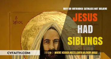 Orthodox Catholic Belief: Jesus' Siblings and Scriptural Interpretation Explained