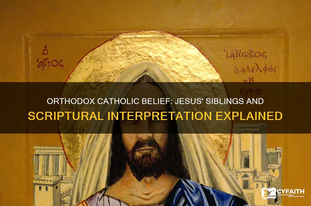 why do orthodox cathlics not believe jesus had siblings