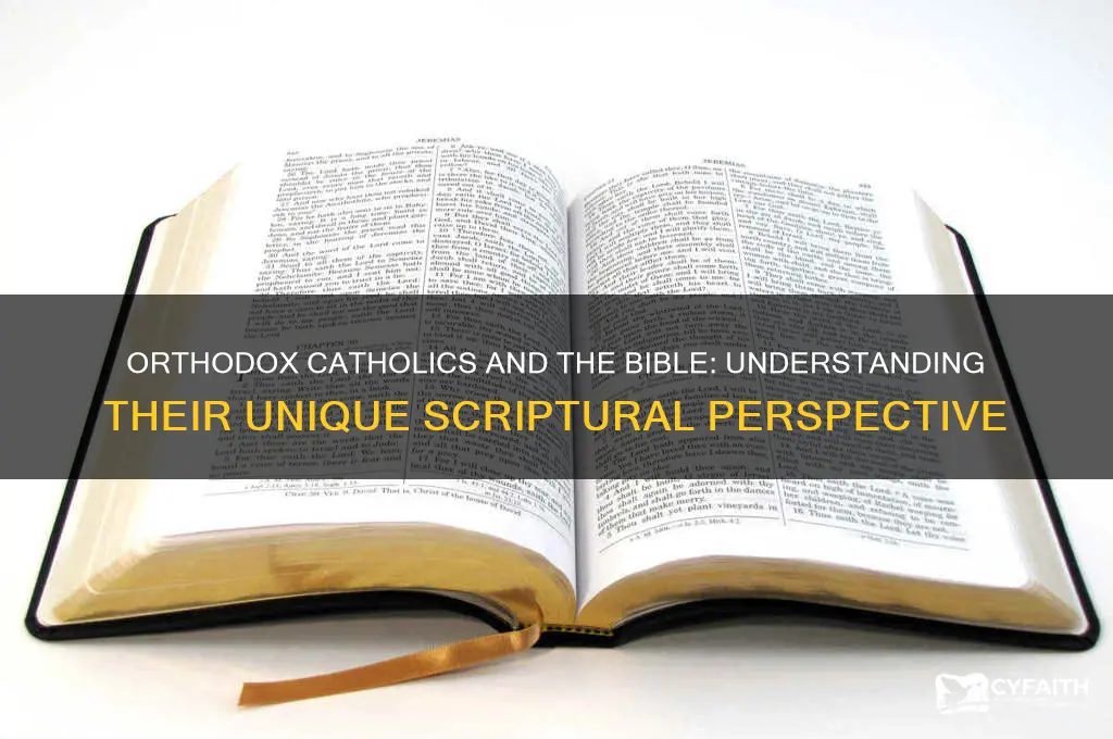 why do orthodox catholics not believe the bible