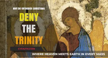 Orthodox Christians' Rejection of the Trinity: Historical and Theological Insights