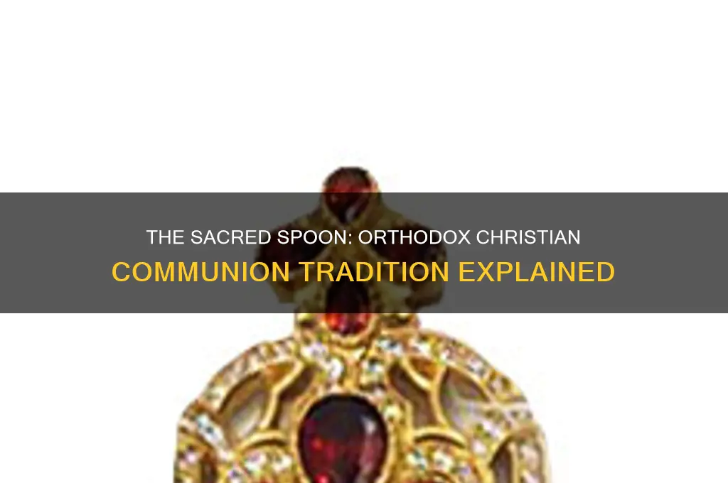 why do orthodox christians take communion with a spoon