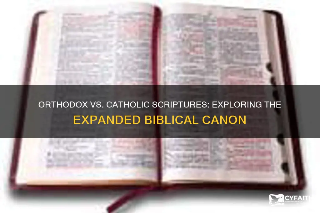 why do orthodox have more books than catholics