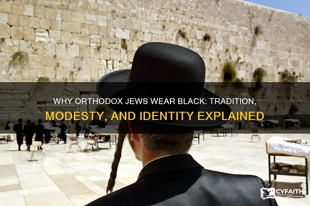 why do orthodox jewish dress in black