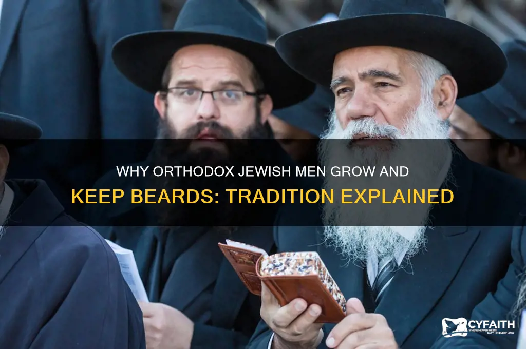 why do orthodox jewish men have beards
