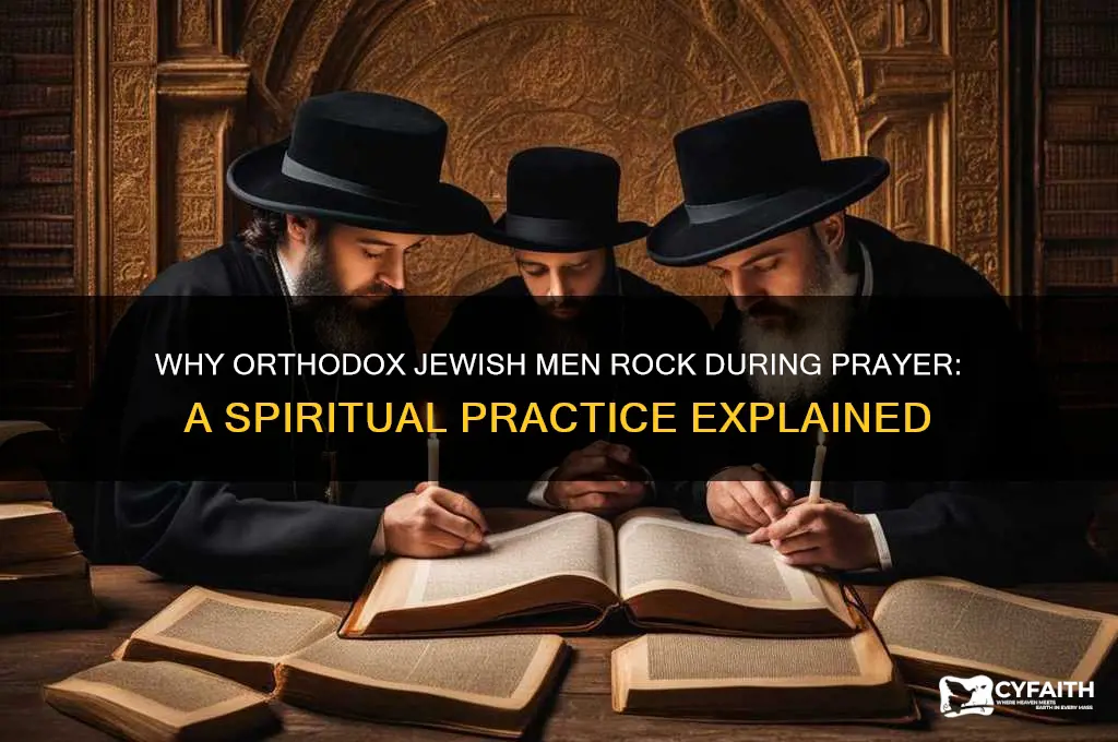 why do orthodox jewish men rock