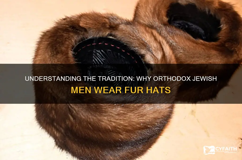 why do orthodox jewish men wear fur hats