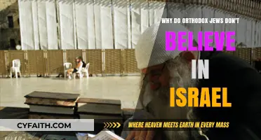 Orthodox Jewish Opposition to Modern Israel: Religious and Political Perspectives