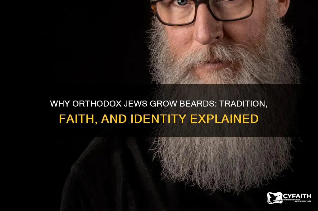 why do orthodox jews grow beards