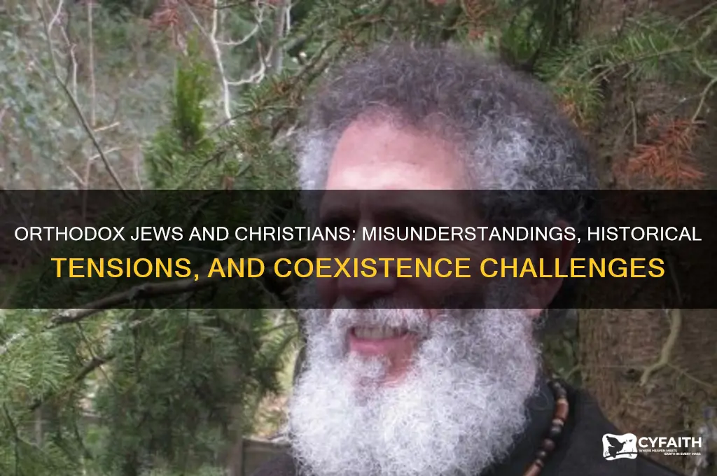 why do orthodox jews hate christians
