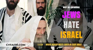 Orthodox Jewish Opposition to Israel: Understanding the Complex Reasons Behind It