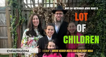 Orthodox Jewish Families: Cultural, Religious, and Social Reasons for Large Families