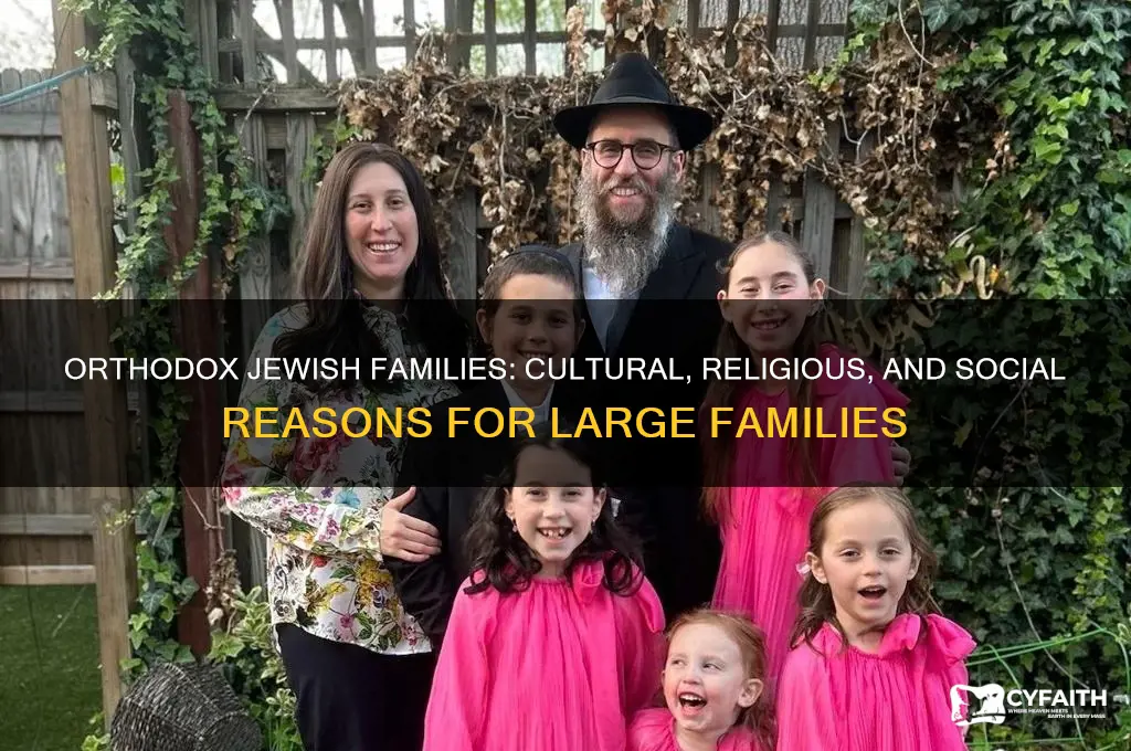 why do orthodox jews have a lot of children