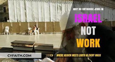Why Many Orthodox Jews in Israel Avoid Secular Employment