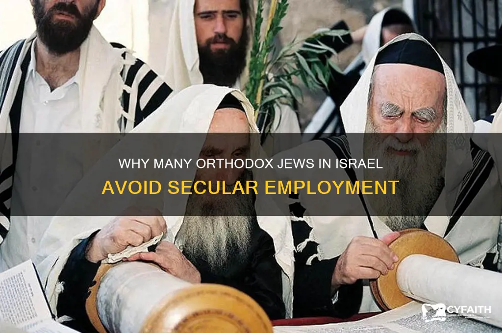 why do orthodox jews in israel not work