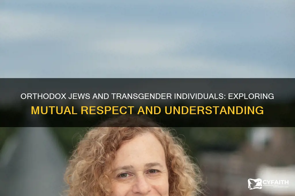 why do orthodox jews like transexuals