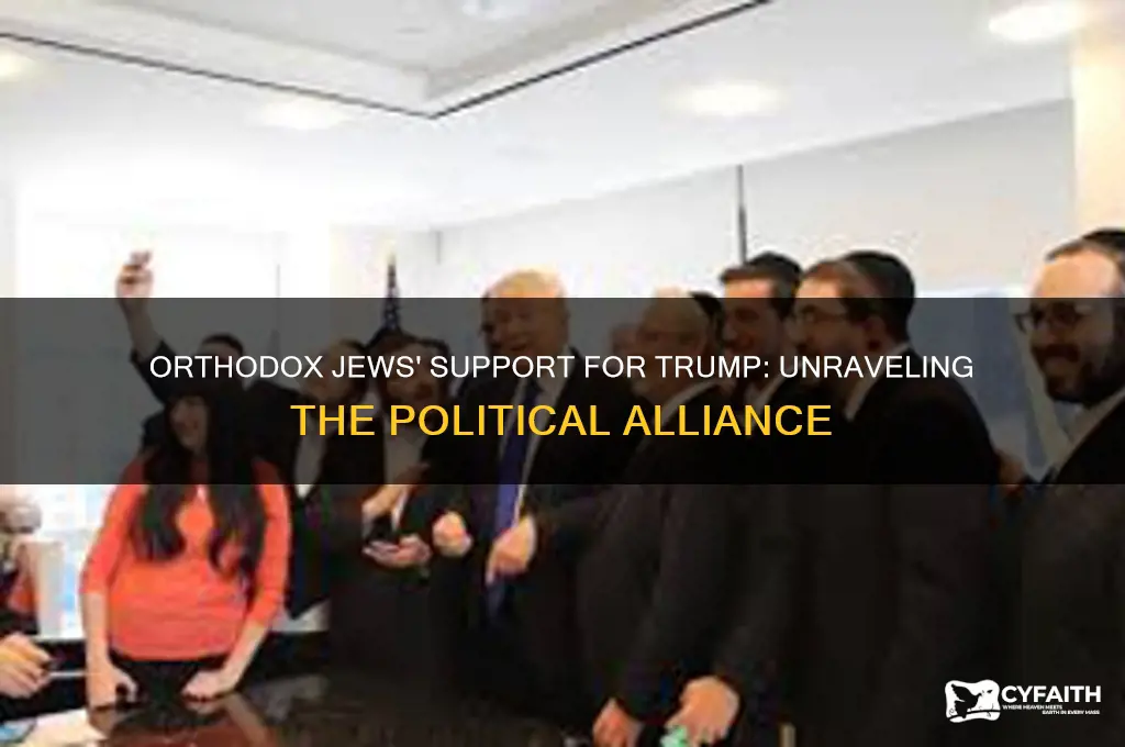 why do orthodox jews like trump