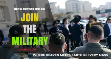 Orthodox Jews and Military Service: Exploring Religious and Cultural Reasons