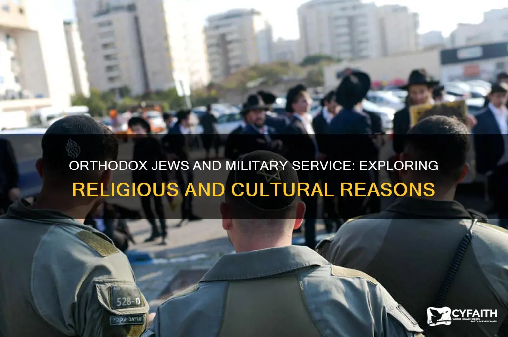 why do orthodox jews not join the military