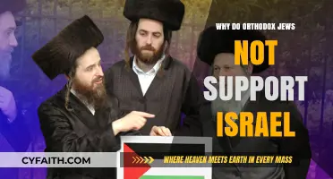 Orthodox Jewish Opposition to Israel: Religious and Political Perspectives
