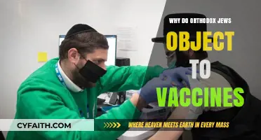 Orthodox Jewish Vaccine Concerns: Religious, Cultural, and Health Perspectives Explored