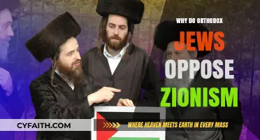 Orthodox Jewish Opposition to Zionism: Historical and Theological Perspectives