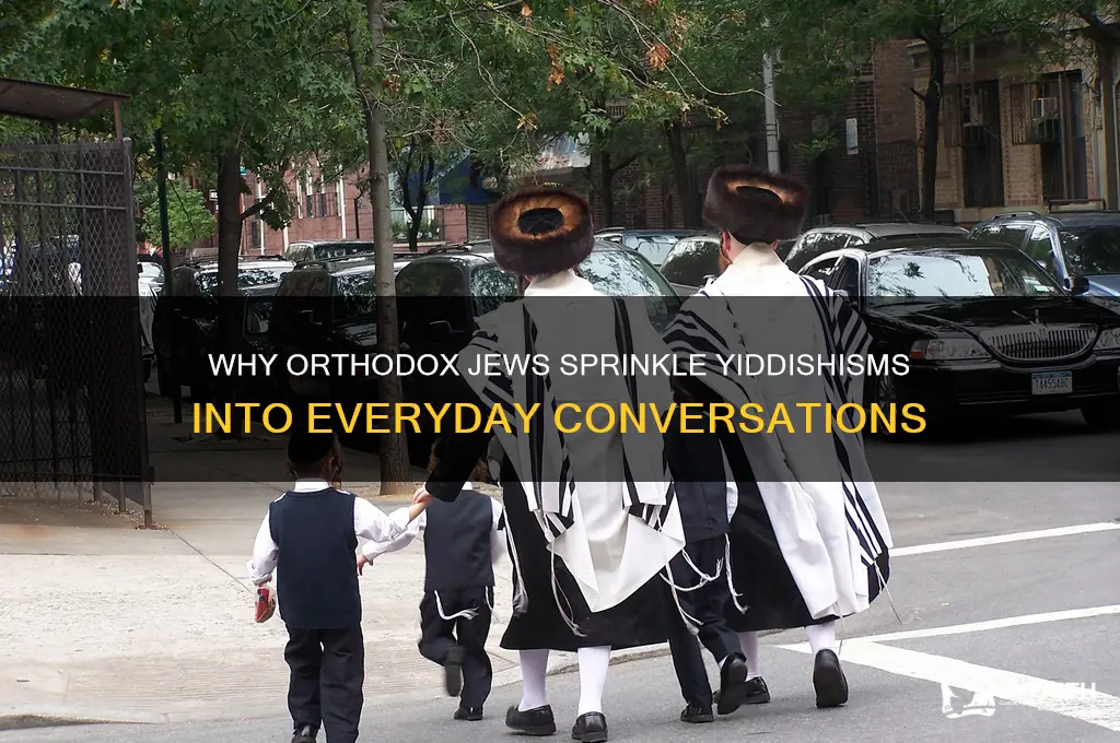 why do orthodox jews randomly use yiddishisms