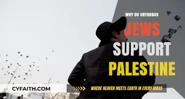 Orthodox Jewish Voices: Solidarity with Palestine Explained