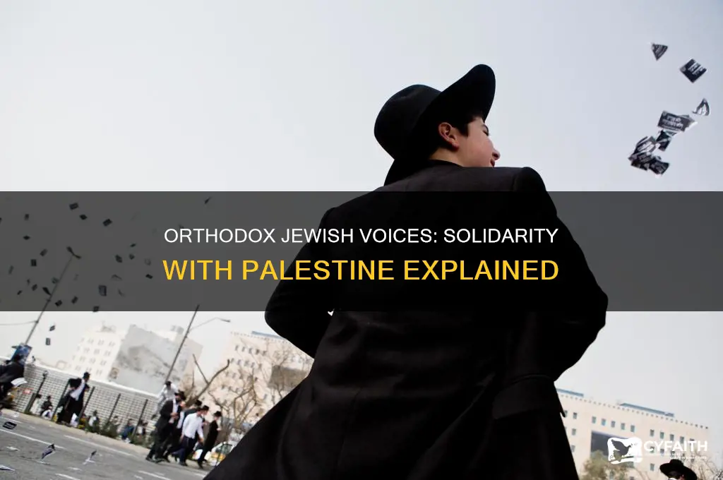 why do orthodox jews support palestine