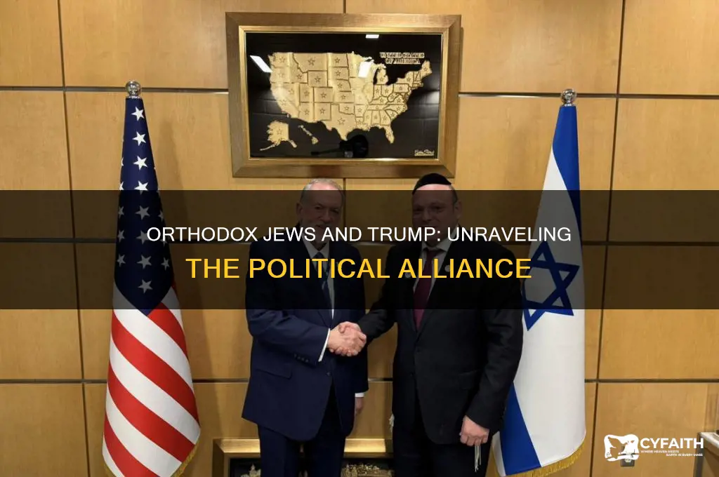 why do orthodox jews vote for trump