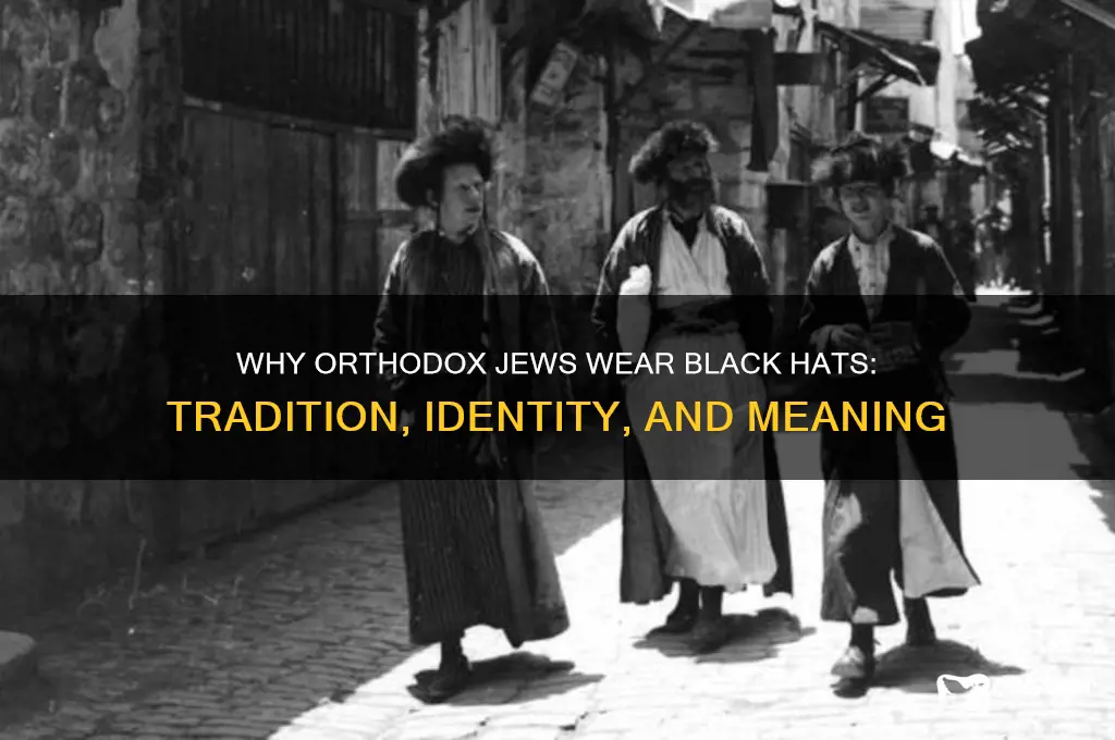 why do orthodox jews wear black hats