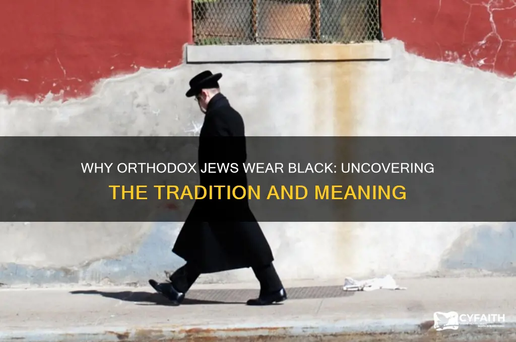 why do orthodox jews wear black