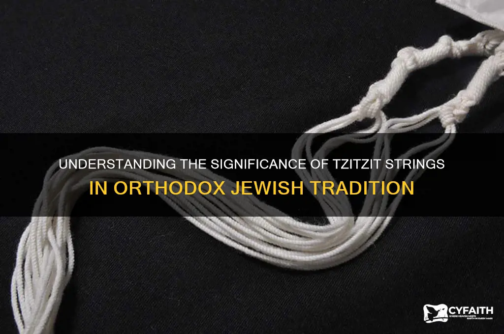 why do orthodox jews wear strings