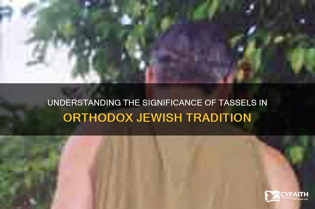 why do orthodox jews wear tassels