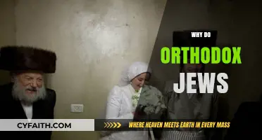 Understanding Orthodox Jewish Traditions: Beliefs, Practices, and Cultural Significance