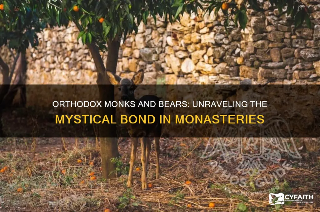 why do orthodox monks have bears